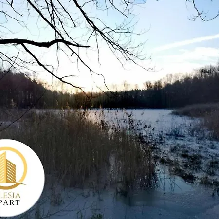 Apartament Zielony דירה טיצ'י